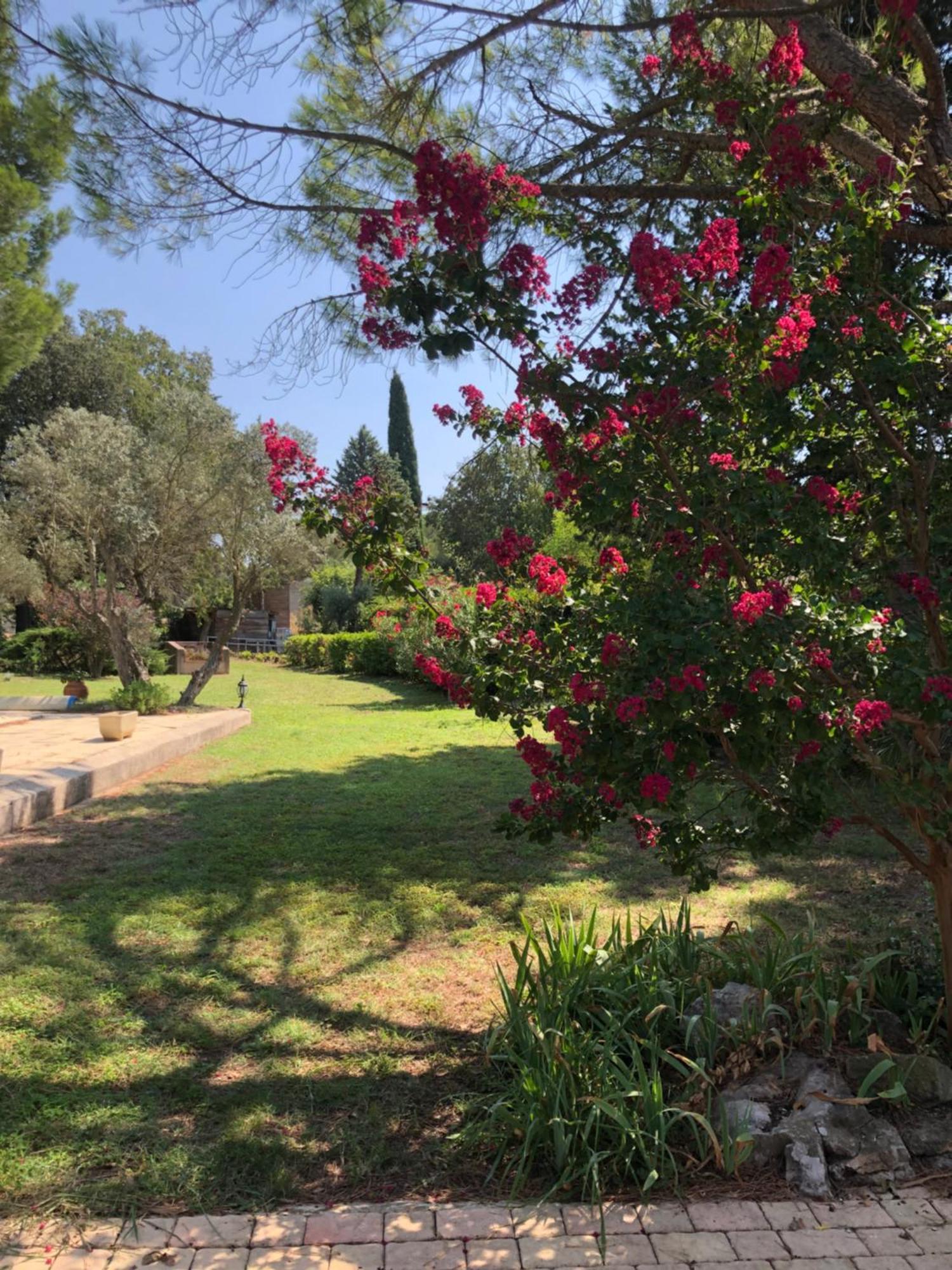 Gite En Provence Dans Grand Jardin Avec Piscine Partagee Cornillon-Confoux Extérieur photo